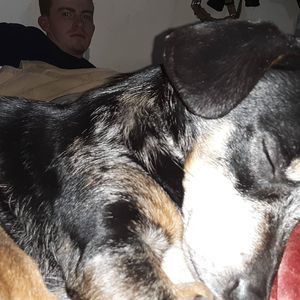 Meet your Posher, Coralee